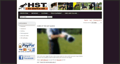 Desktop Screenshot of hst-america.com